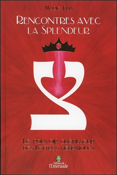 Rencontres avec la Splendeur - Le Pouvoir guérisseur des Lettres hébraïques (Relié)