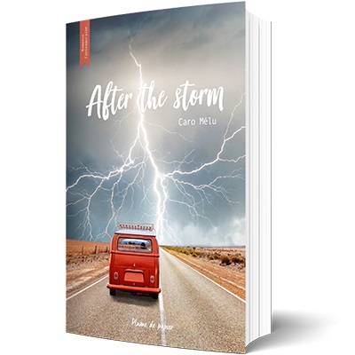 After the storm (Grand format)