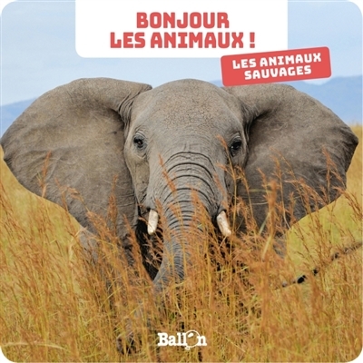 Les animaux sauvages (Jeunesse)