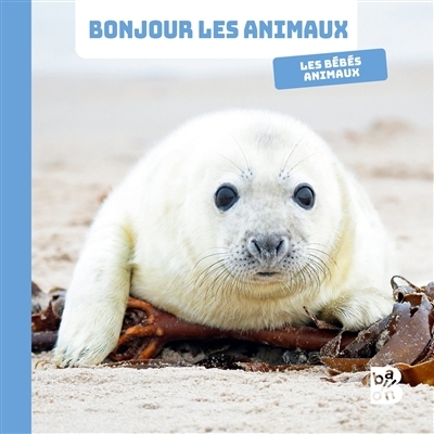 Les bébés animaux (Jeunesse)