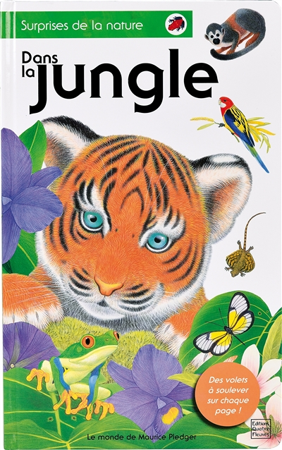 Dans la jungle (Jeunesse)