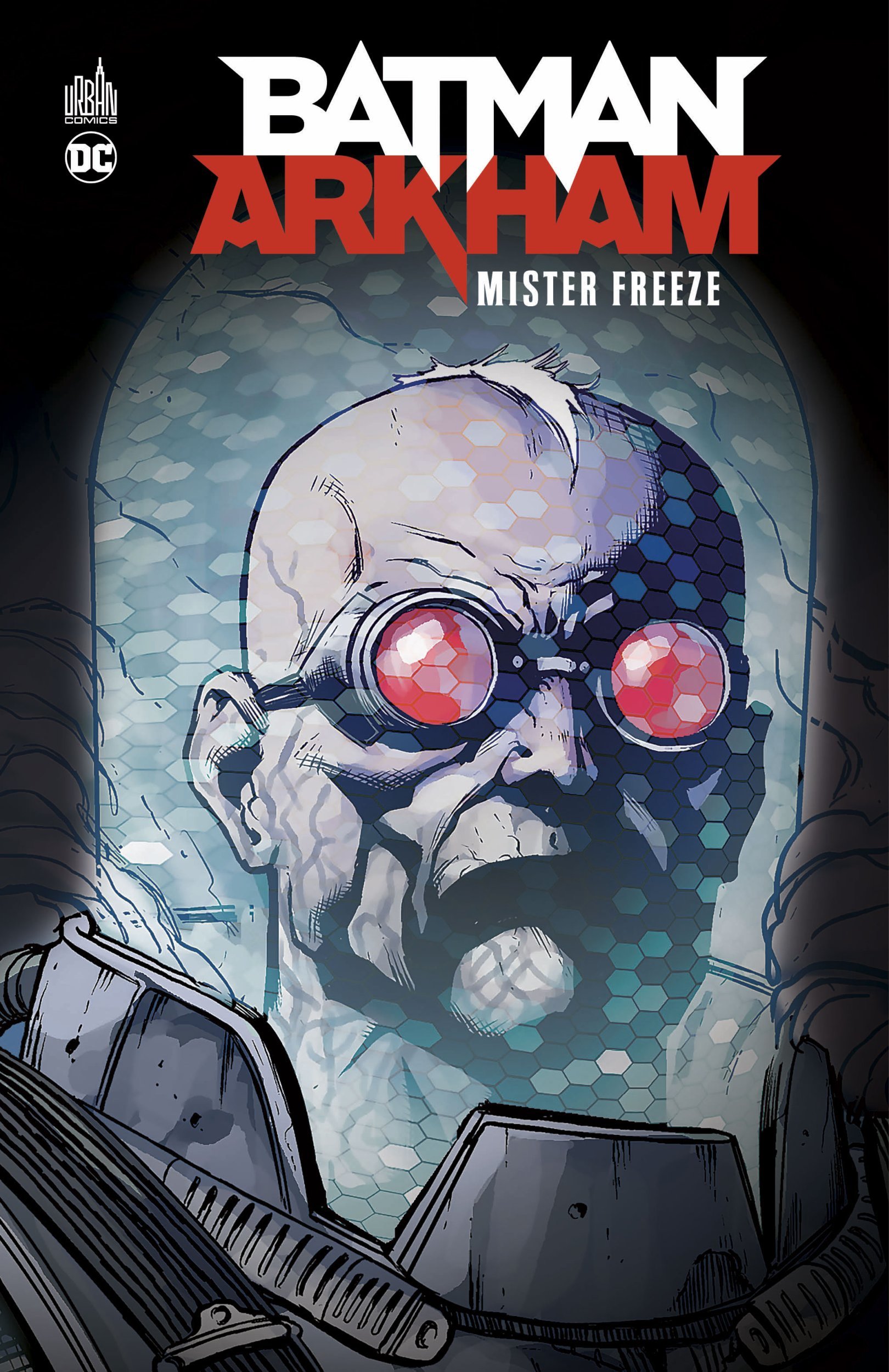 Batman Arkham : Mr Freeze (BD)