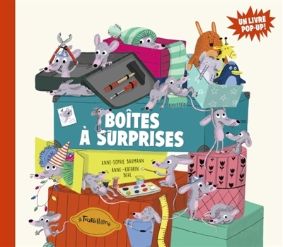 Boîtes à surprises (Broché)