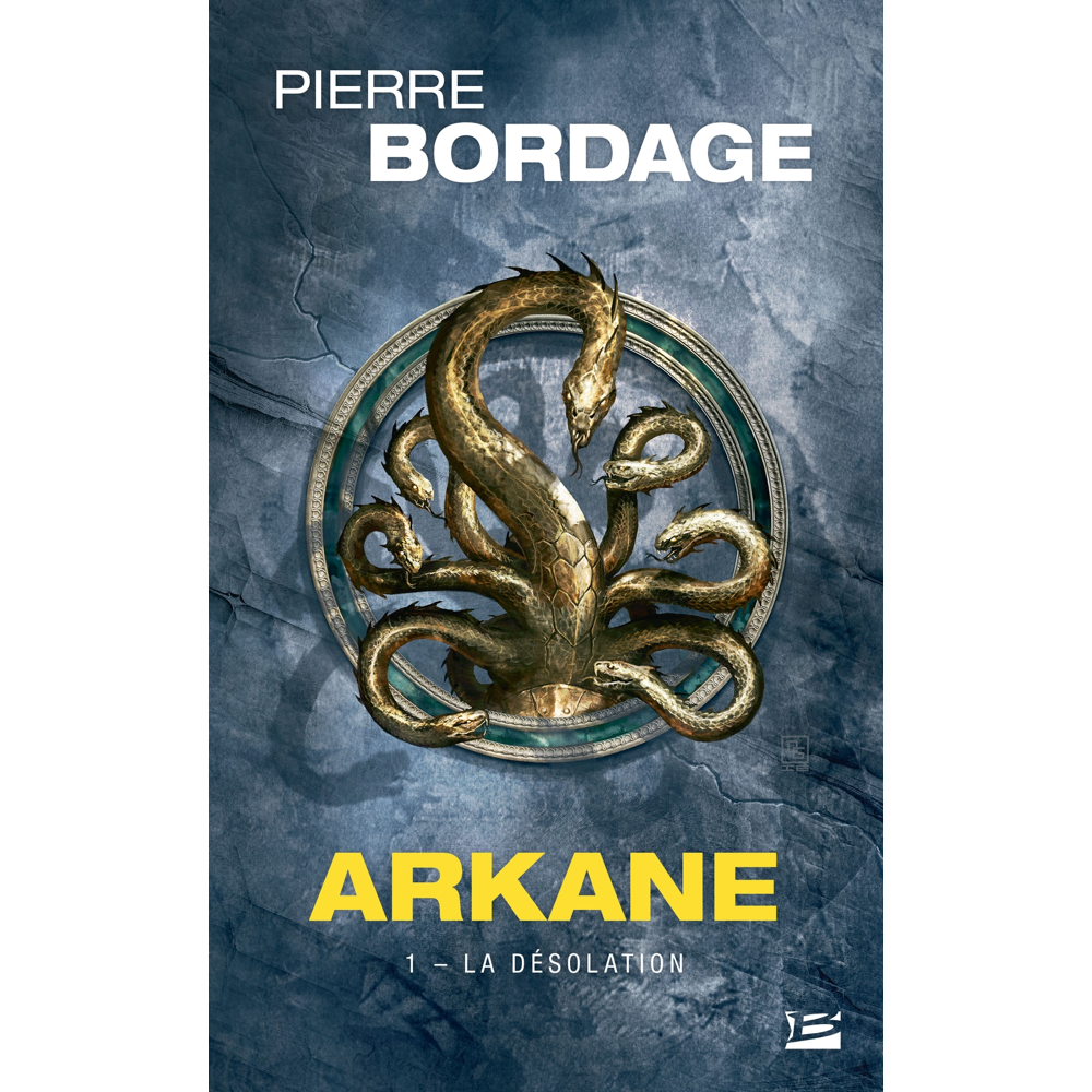 Arkane, Tome 1 : La Désolation (Poche)