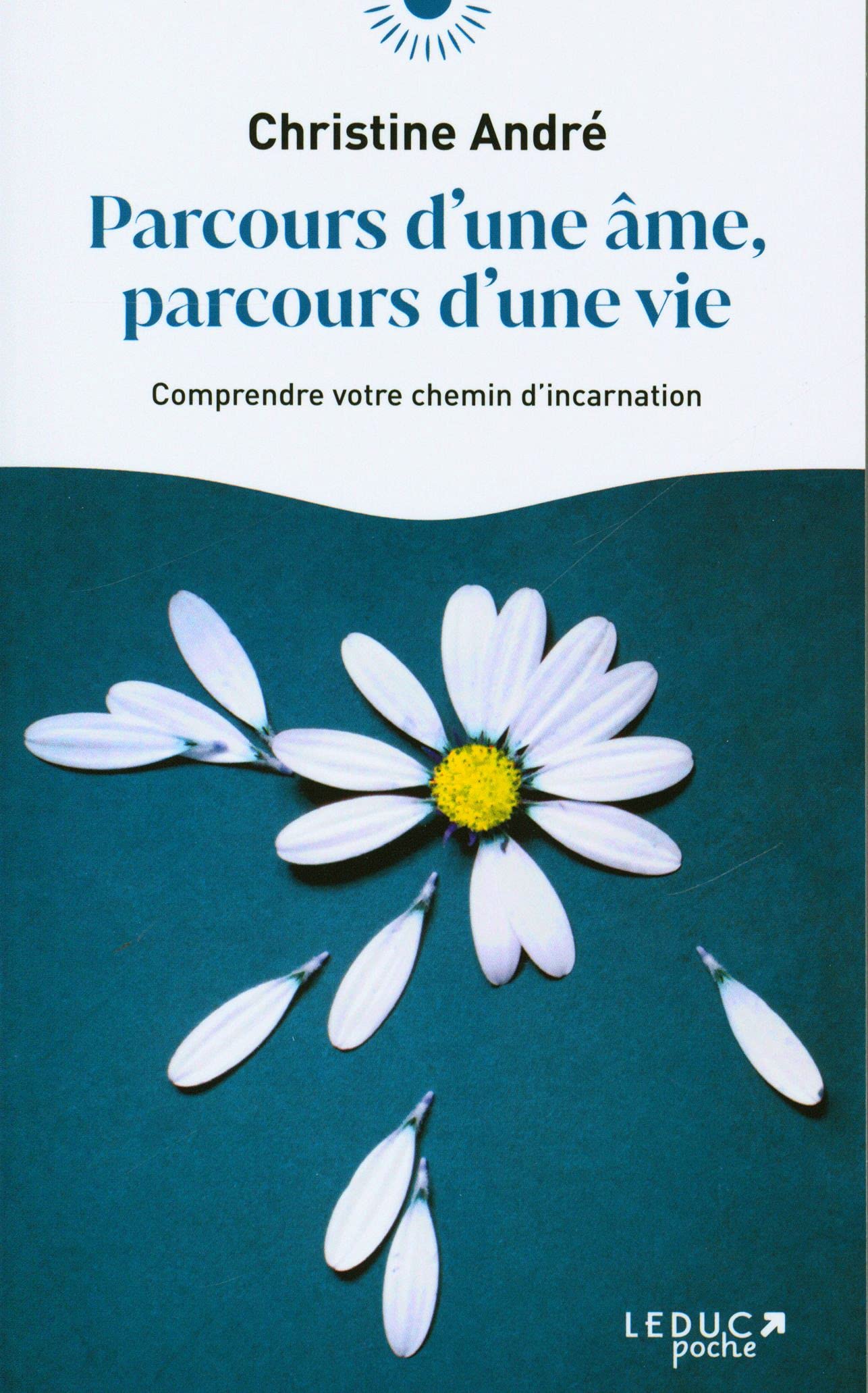 Parcours d'une âme, parcours d'une vie - Comprendre votre chemin d'incarnation (Broché)