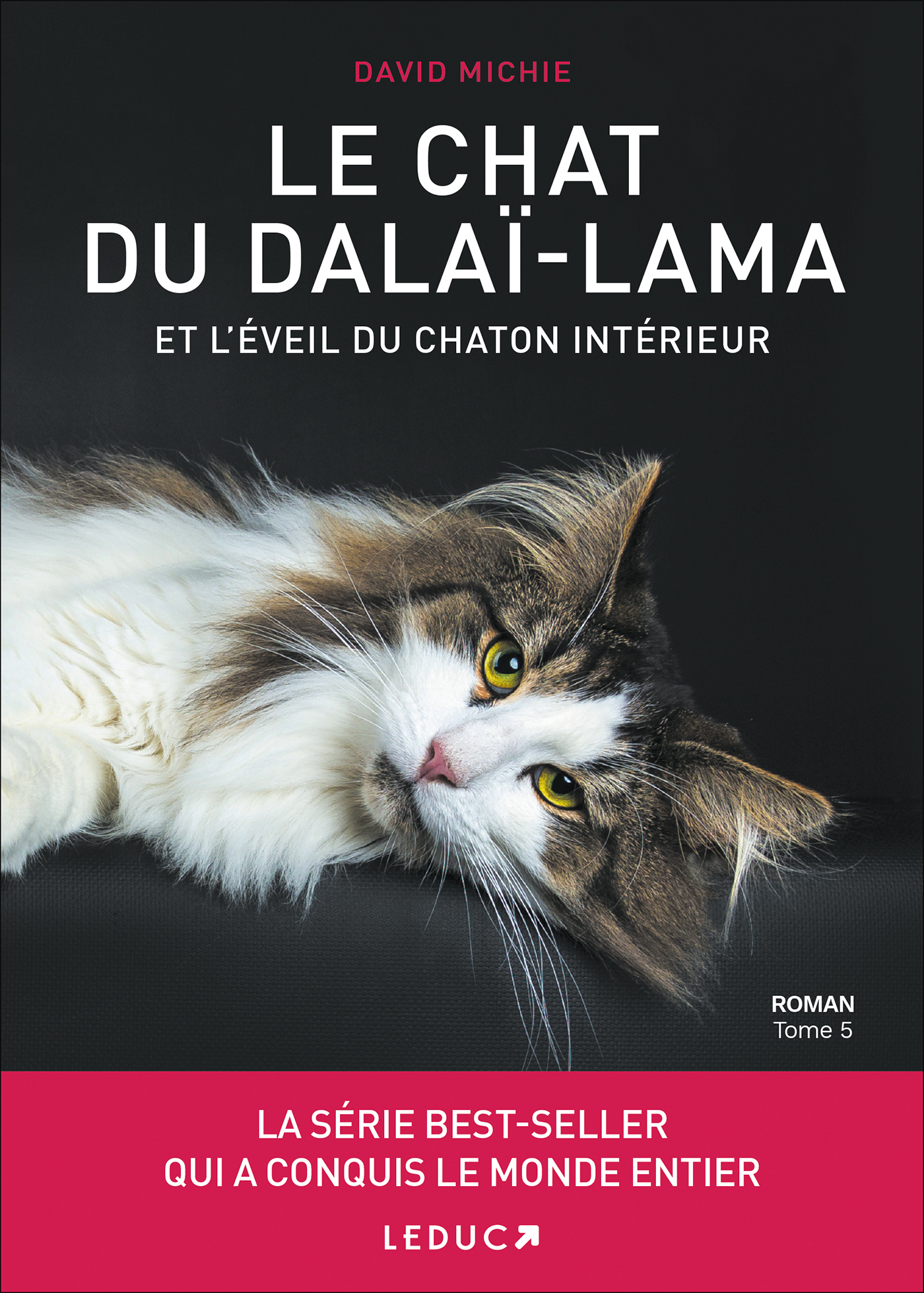 Le Chat du Dalai-Lama et l'éveil du chaton intérieur (Grand format)