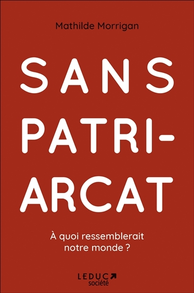 Sans patriarcat - À quoi ressemblerait notre monde ? (Broché)