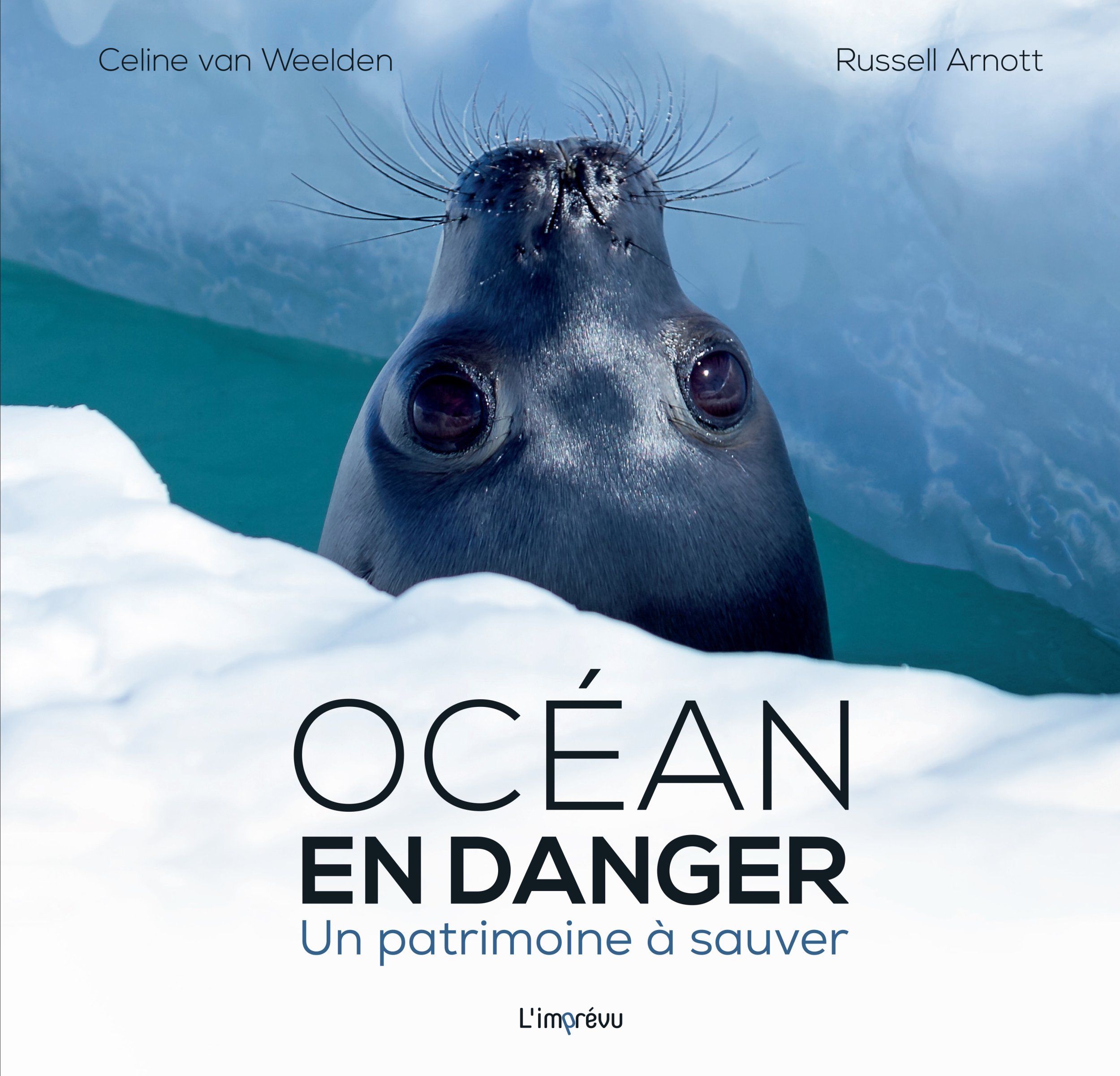 Océan en danger - Un patrimoine à sauver (Broché)