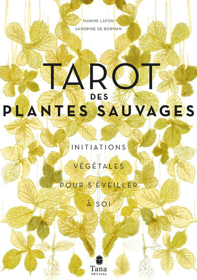 Le tarot des plantes sauvages (Broché)