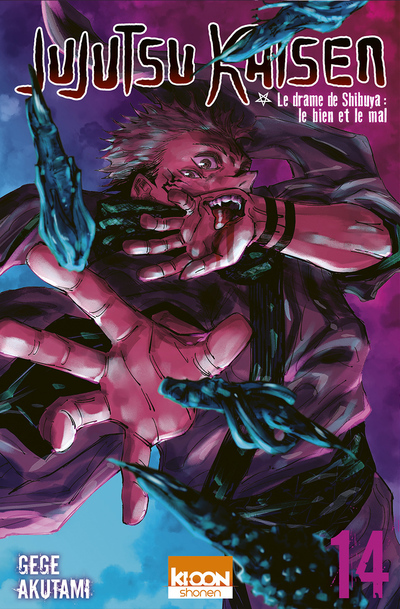 Jujutsu Kaisen Tome 14 (Manga)