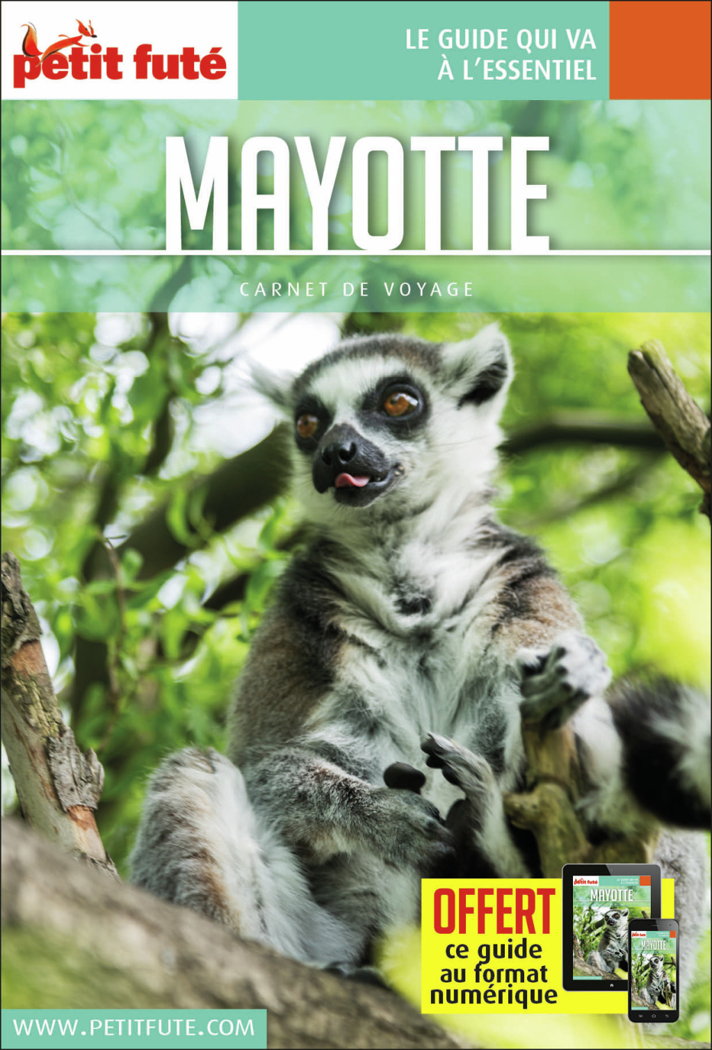 Guide Mayotte 2017 Carnet Petit Futé (Broché)