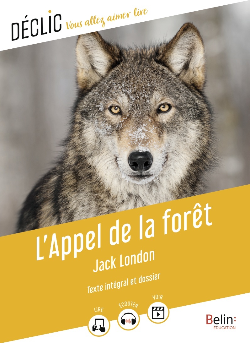 L'Appel de la forêt (Poche)