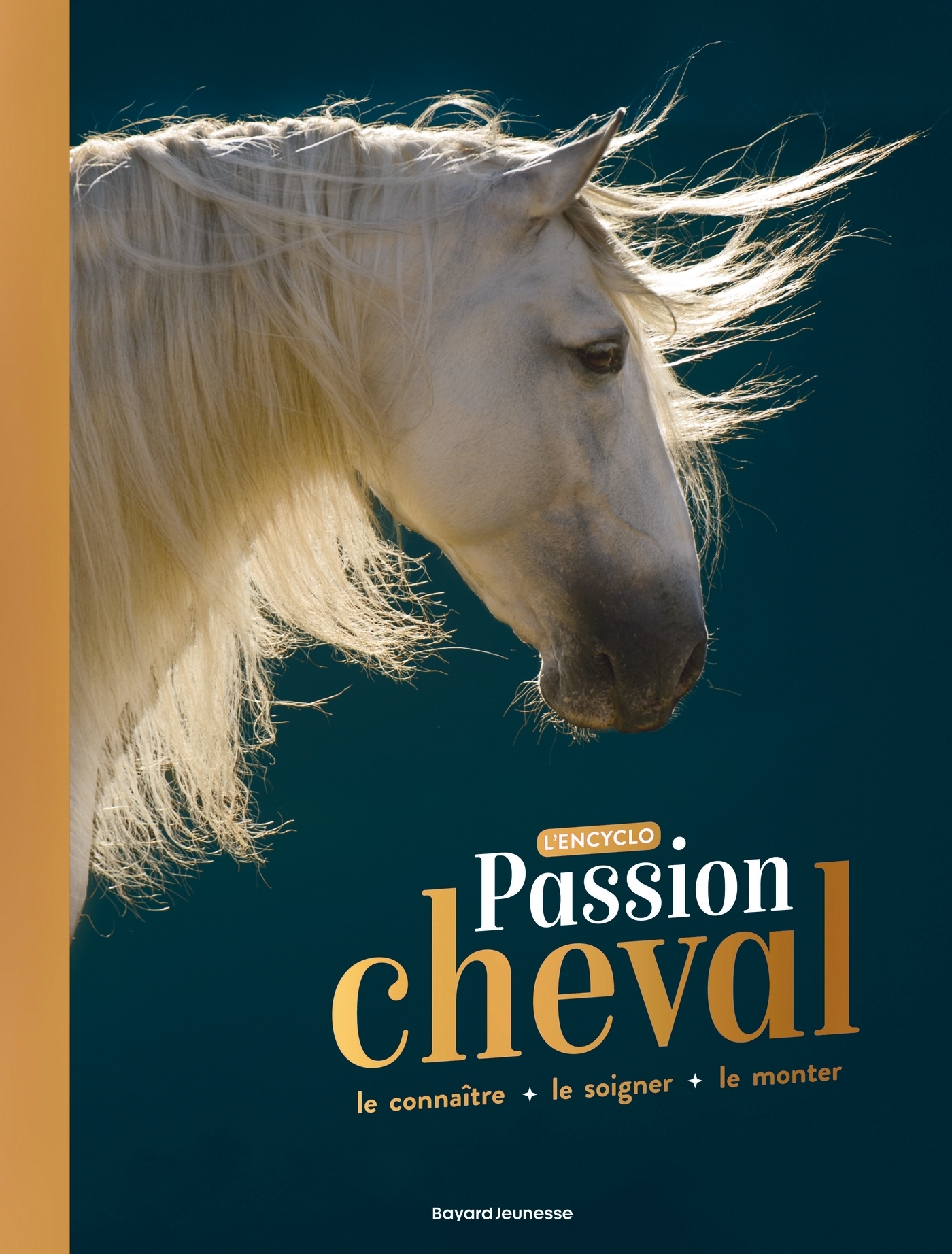 Passion cheval - L'encyclo (Jeunesse)