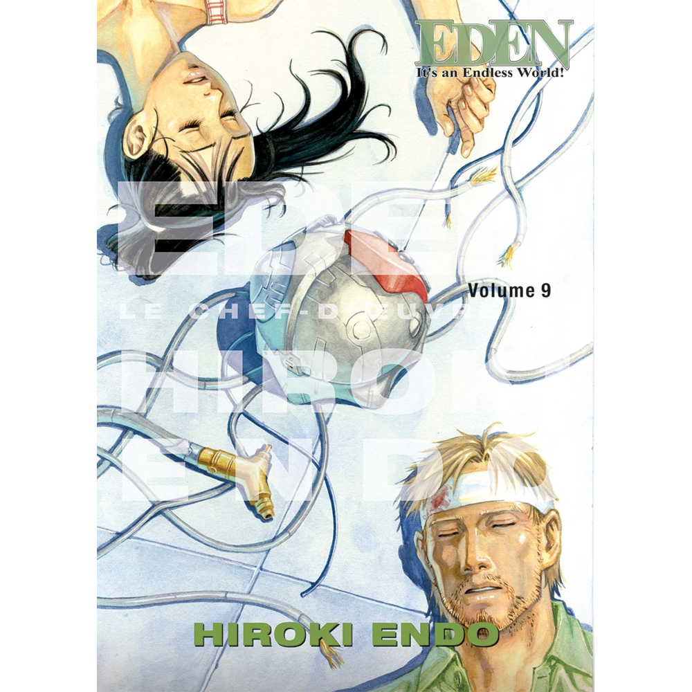 Eden, It's an Endless World! Perfect Edition Tome 9 (Manga)