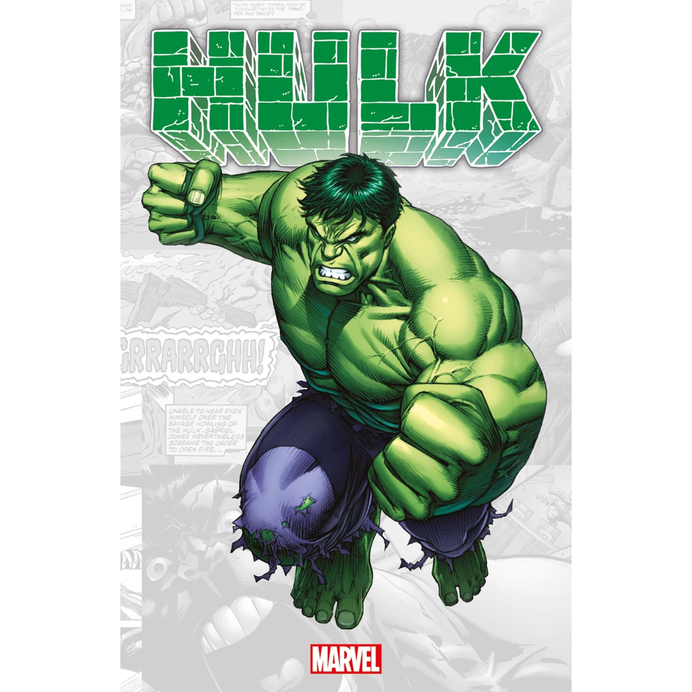 Marvel-Verse : Hulk (BD)