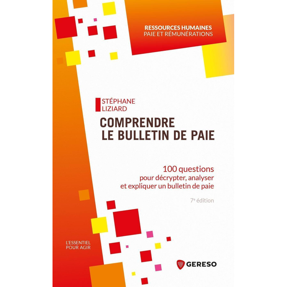 Comprendre le bulletin de paie - 100 questions pour décrypter, analyser et expliquer un bulletin de