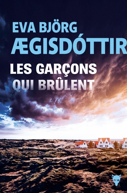 Les Garçons qui brûlent (Grand format)