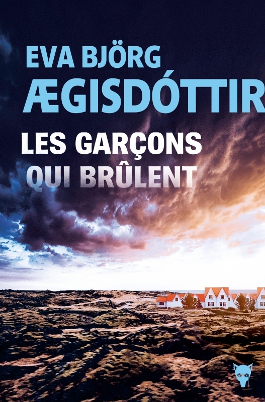 Les Garçons qui brûlent (Grand format)